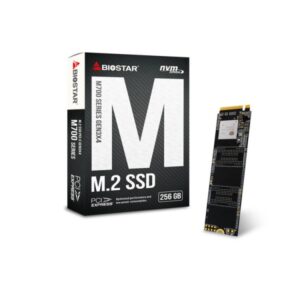 256GB SSD M.2
